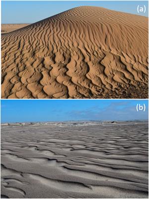 Editorial: Physics and Geomorphology of Sand Ripples on Earth and in the Solar System